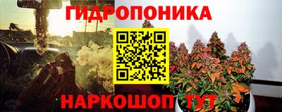 СК Гусь-Хрустальный