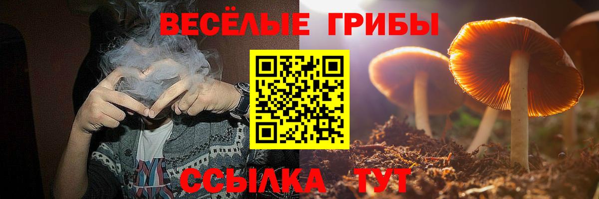 Псилоцибиновые грибы Psilocybine cubensis Наро-Фоминск